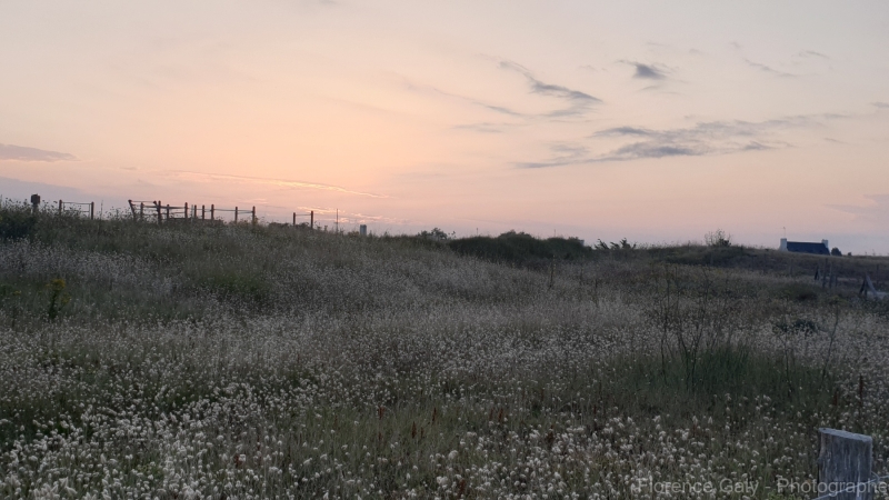 FG-nature-11