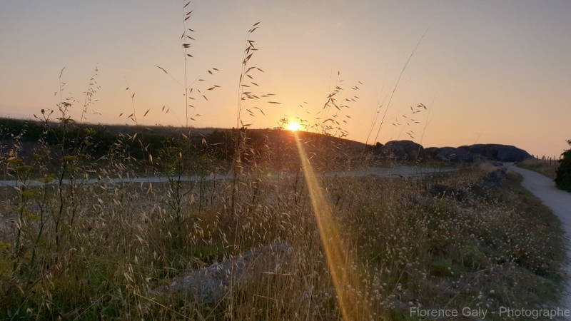 FG-nature-13