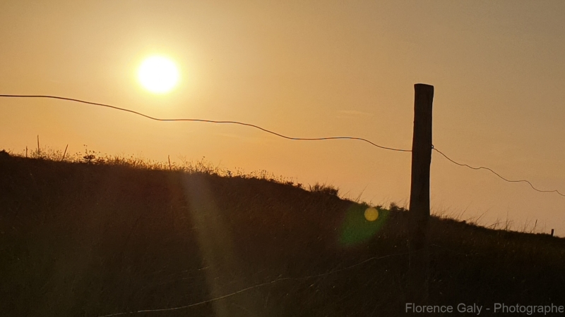 FG-nature-15