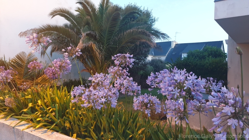 FG-nature-7