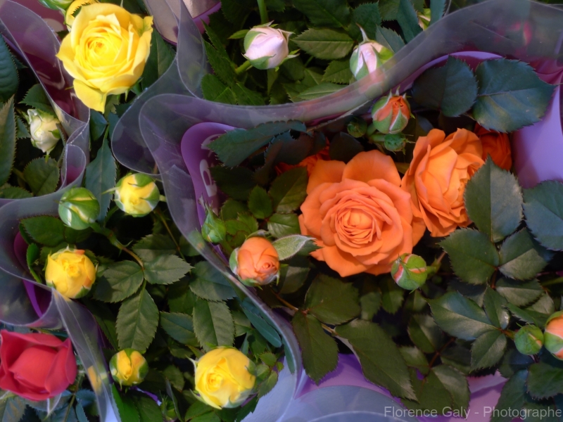 bouquet-de-petites-rose-2