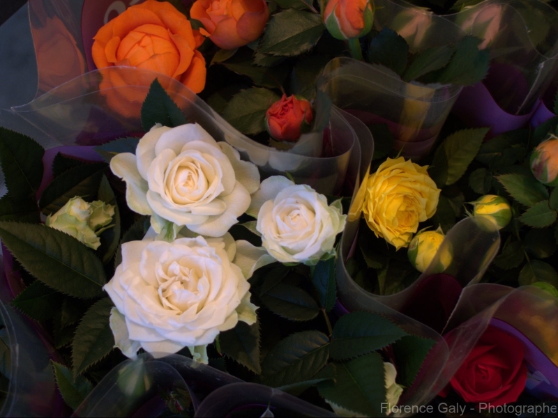 bouquets-de-petites-rose