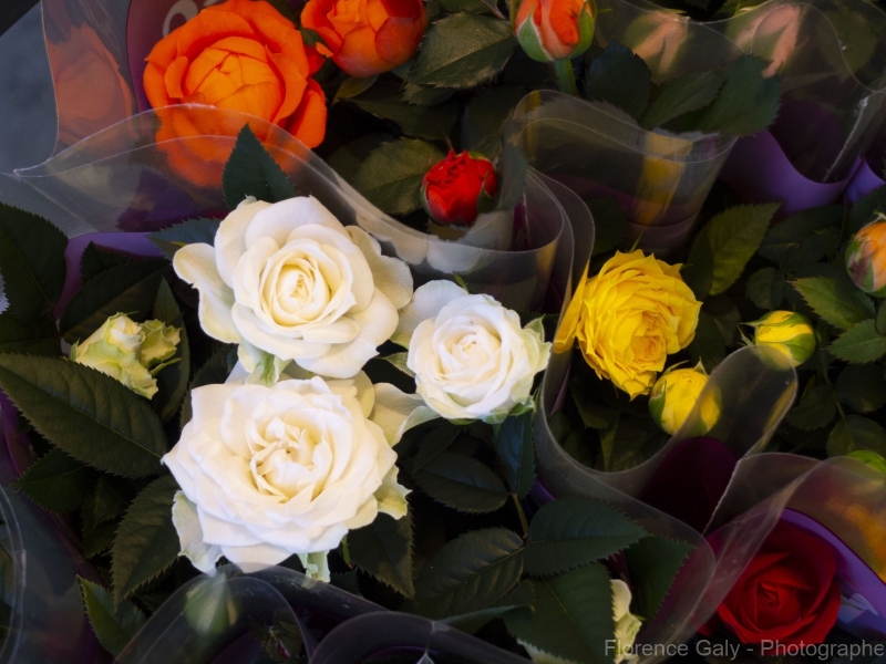 bouquets-de-petites-rose_1