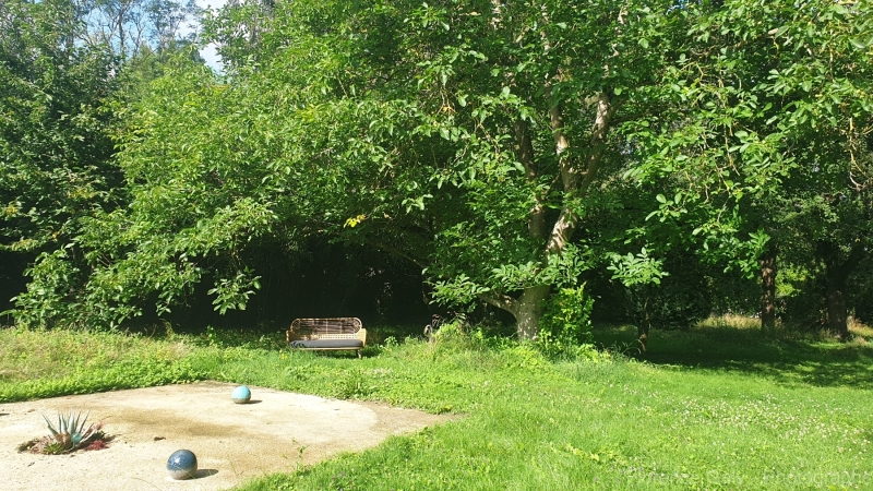 canape-dans-un-jardin-a-la-campagne