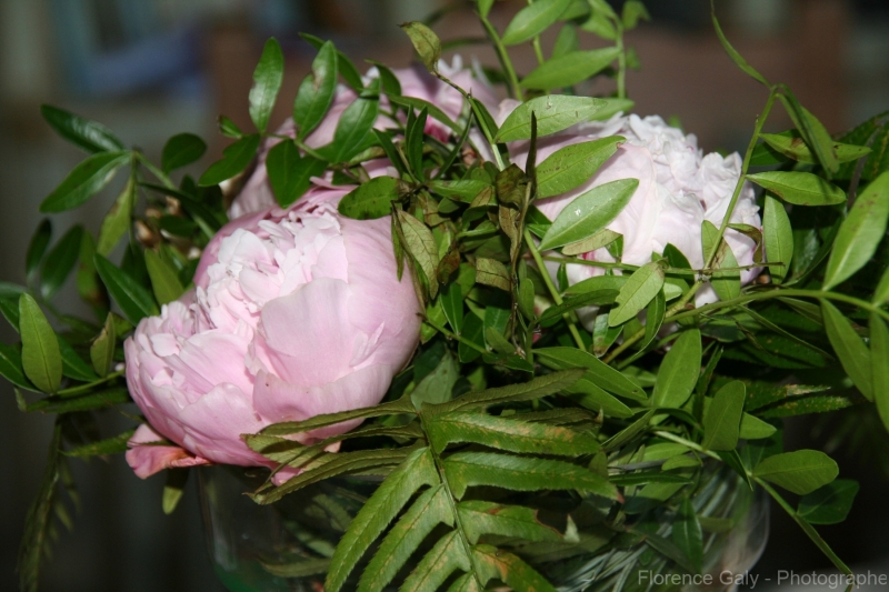 composition-florale