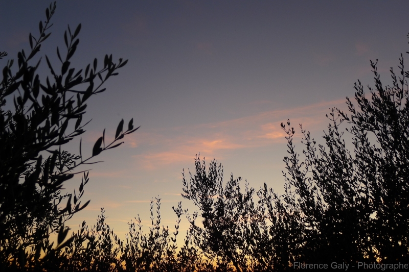 couche-de-soleil-en-italie-2