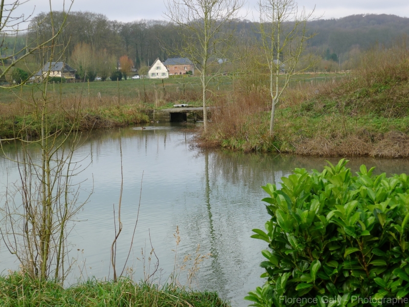 cours-deau-en-normandie-2