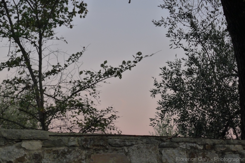 crepiscule-a-cote-de-Florence